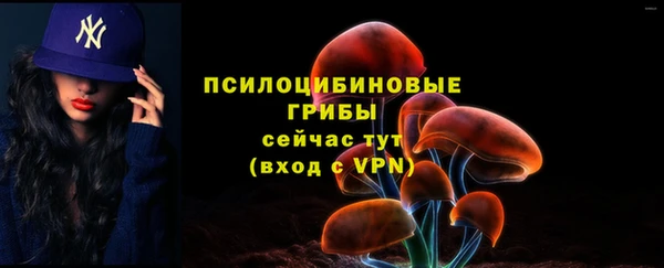 альфа пвп Заводоуковск