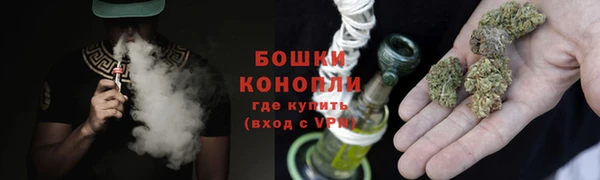 метадон Ельня