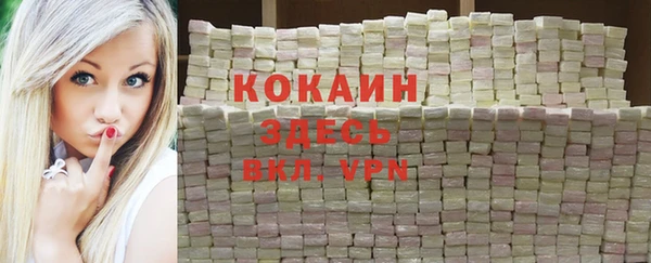 метадон Ельня