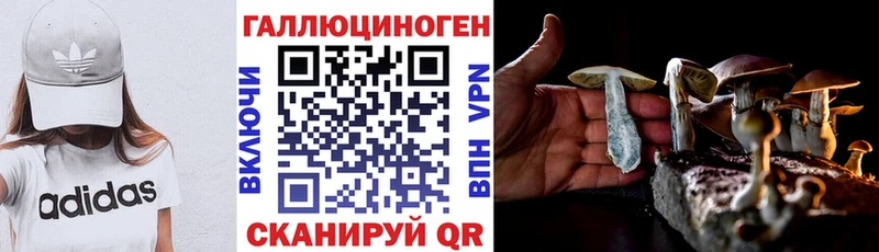 Галлюциногенные грибы мухоморы  кракен   Соль-Илецк  купить  цена 