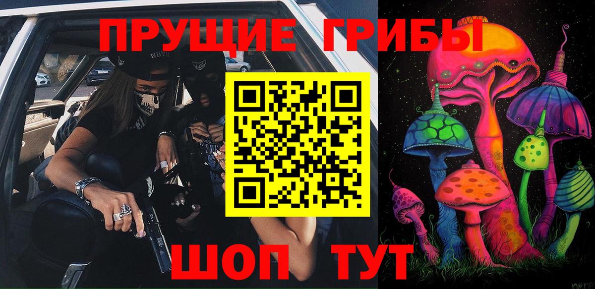 Псилоцибиновые грибы Psilocybine cubensis  Вход с VPN  Соль-Илецк 